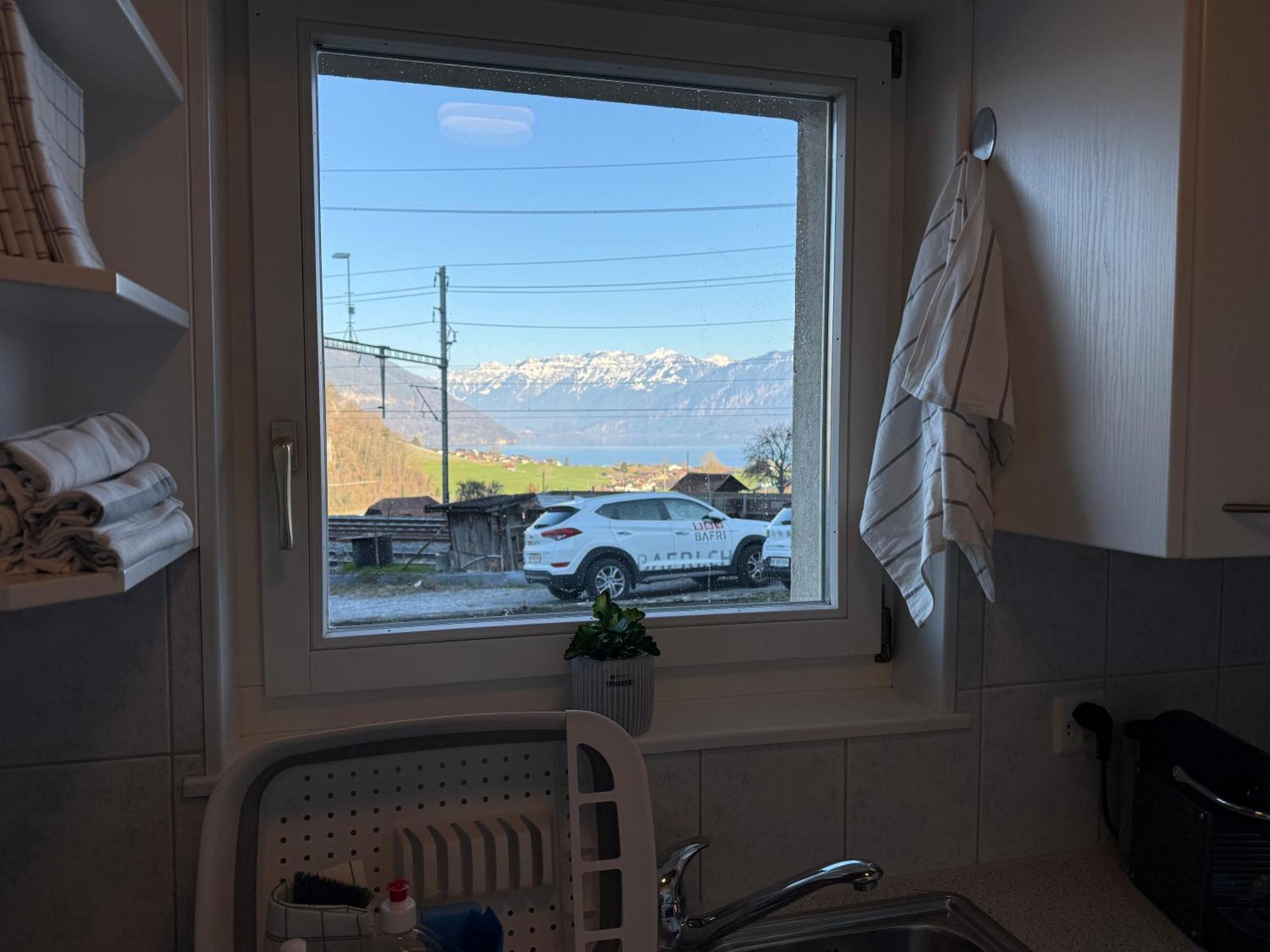 With And Mountain View * Spiez